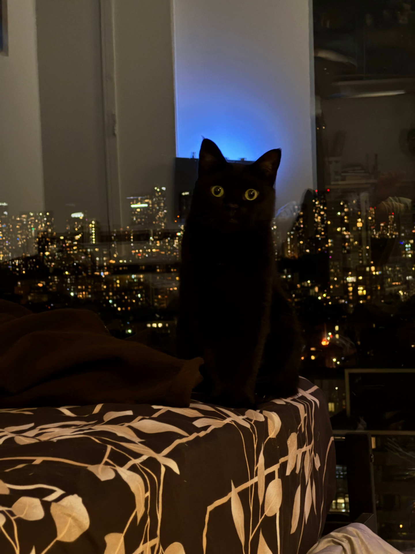 Nero sitting against a night city skyline